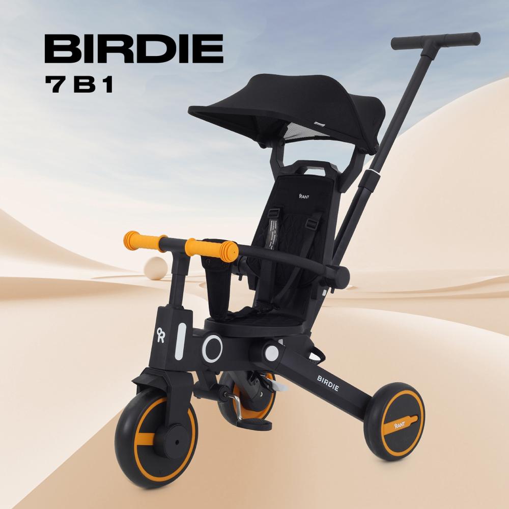 Детский трехколесный велосипед RANT RB202 "BIRDIE" (Graphite)