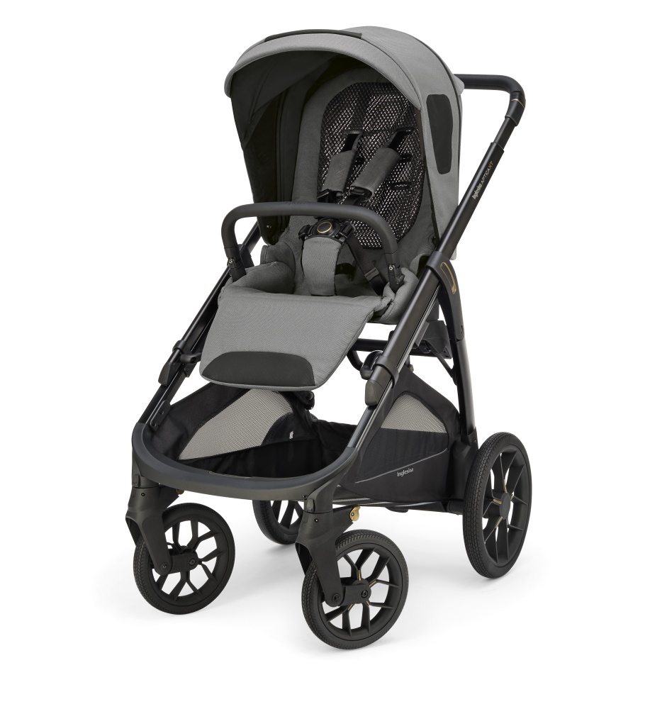 Прогулочная коляска Inglesina Aptica XT Canyon Grey