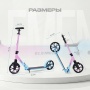 Самокат 2-х колесный RANT "Element PRO" Blue Pink