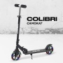 Самокат 2-х колесный RANT "Colibri" Black