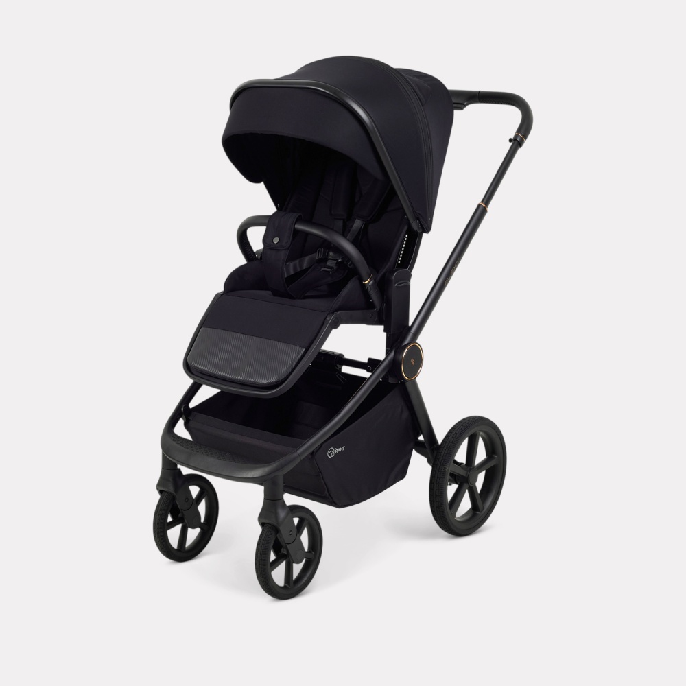Коляска детская RANT "FLEX Therm" (2в1) RA112 Gold Black