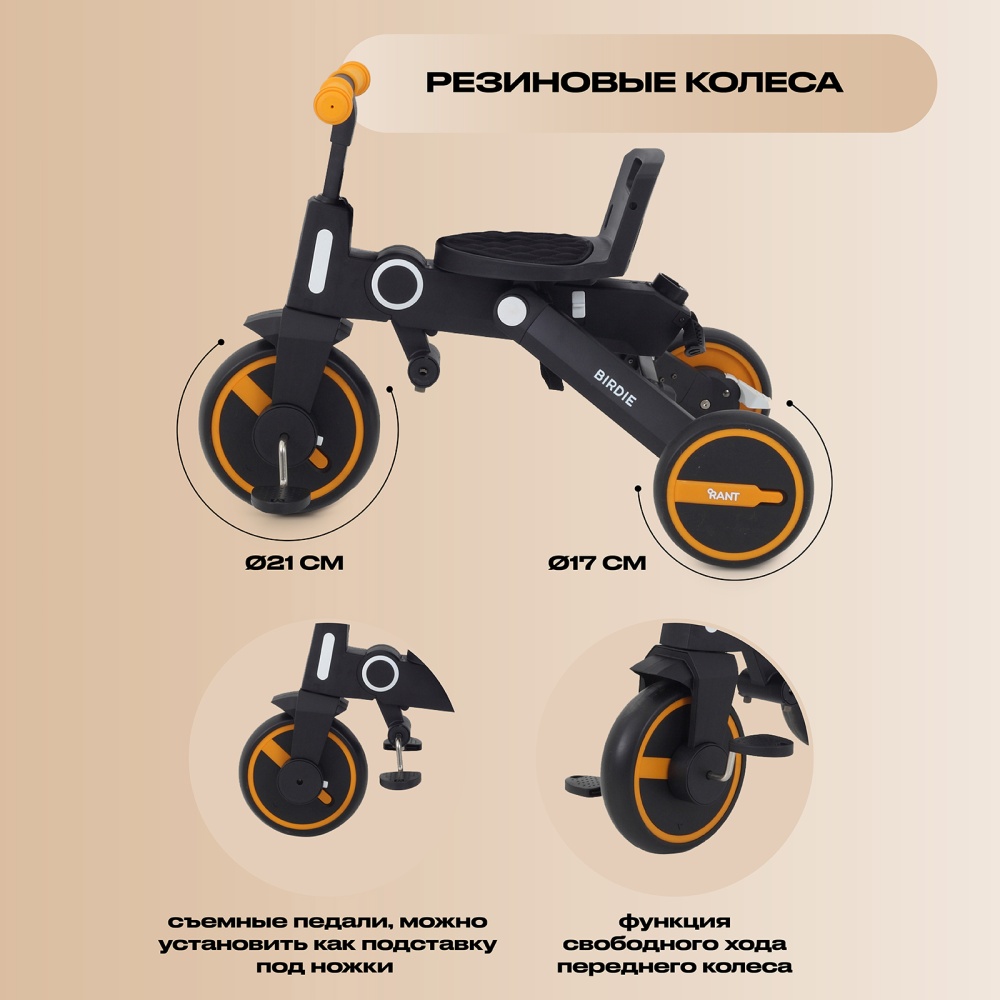 Детский трехколесный велосипед RANT RB202 "BIRDIE" (Graphite)