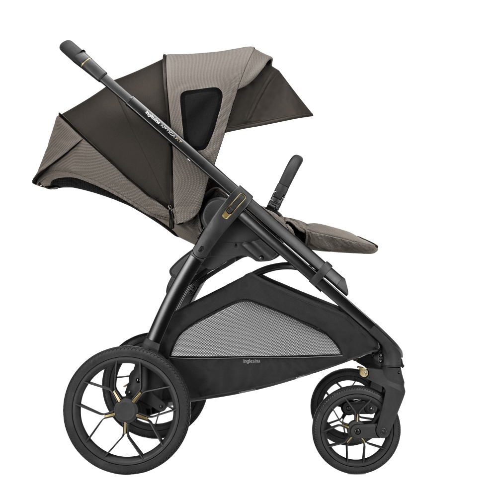 Прогулочная коляска Inglesina Aptica XT New, Tundra Beige