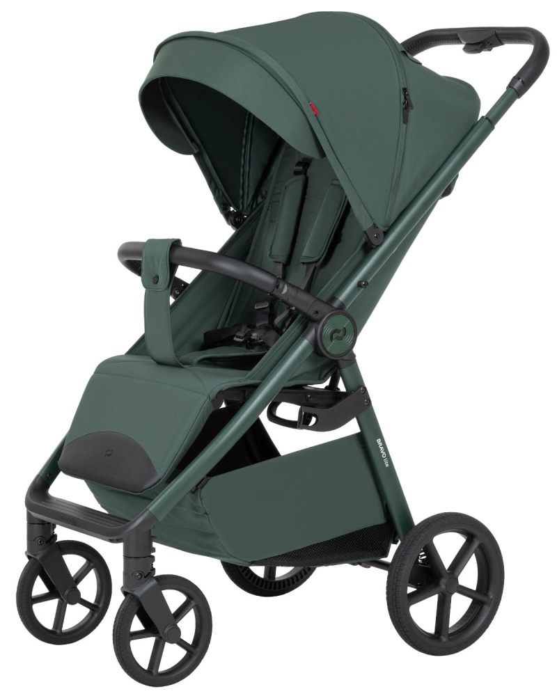 Carrello Детская коляска прогулочная  CARRELLO  Bravo lite CRL-5529 County Green