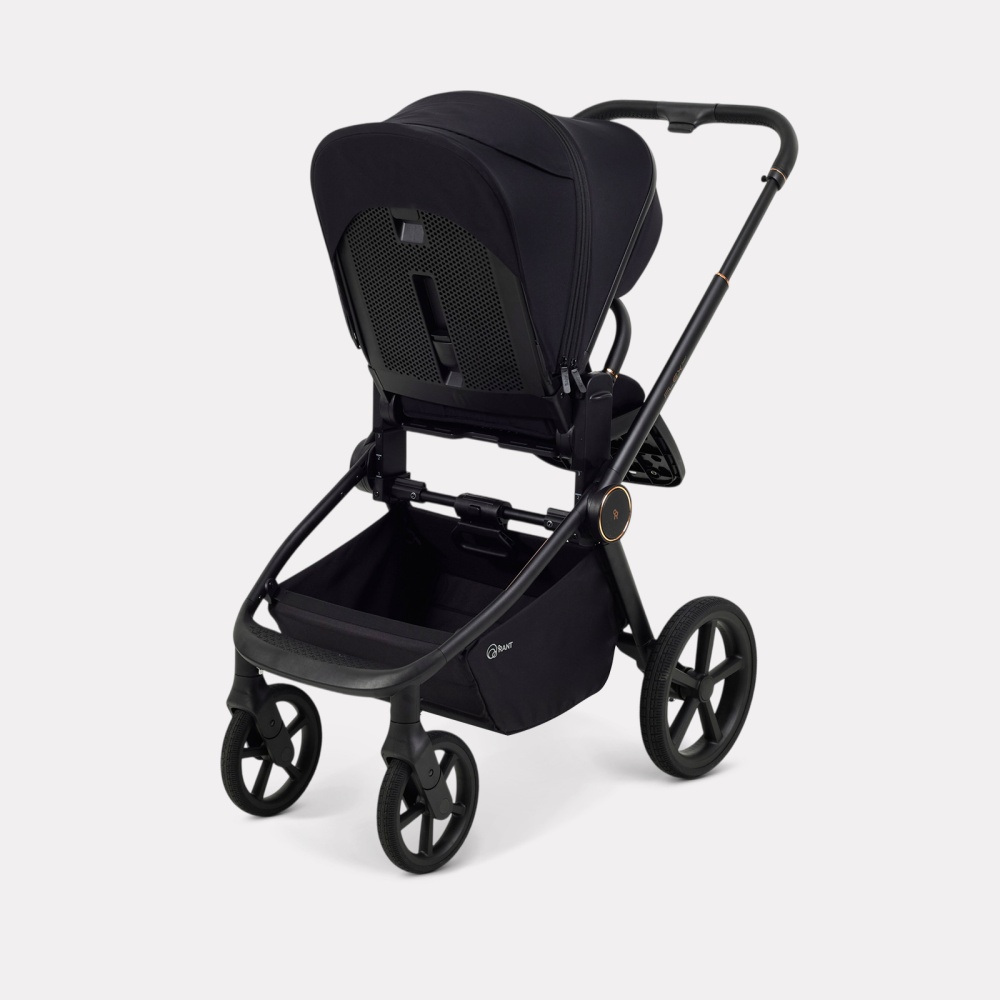 Коляска детская RANT "FLEX Therm" (2в1) RA112 Gold Black